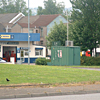 Morfa Groundhog